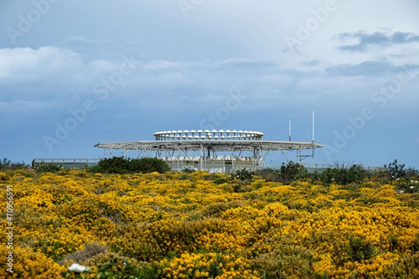 Fototapeta field with sky