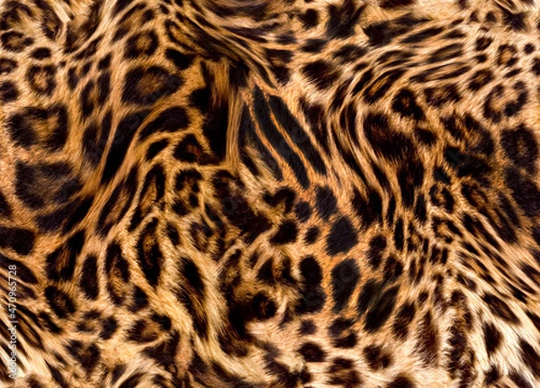 Obraz Seamless leopard texture, leopard fur