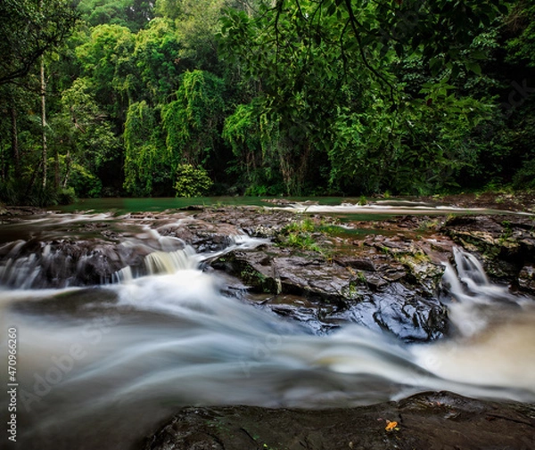 Fototapeta Gardners falls in Maleny