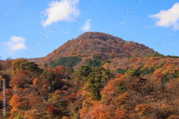 Obraz 群馬県　河鹿橋　紅葉