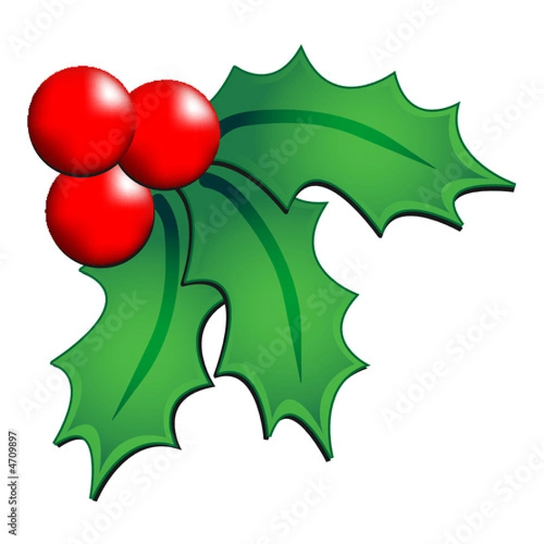 Fototapeta Christmas holly ornament over white background