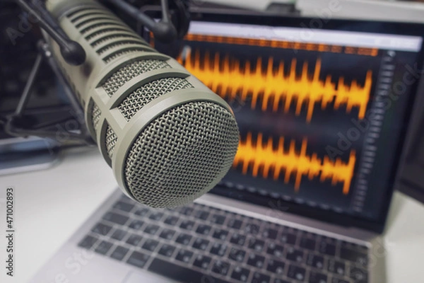 Fototapeta Professional microphone and wave form on the screen