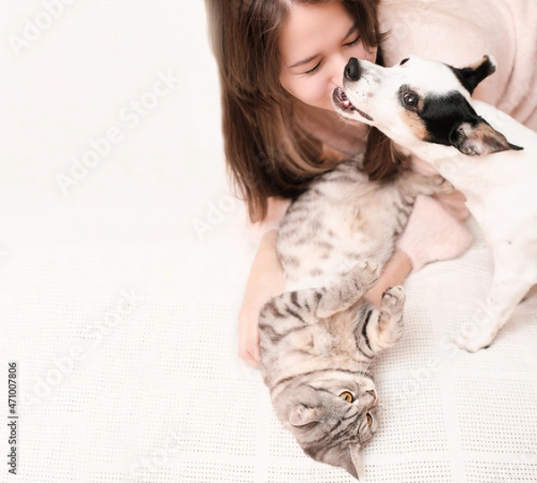 Fototapeta young woman playing with a cat and a dog on a bed, jack russell terrier bites owner by the nose. copy space. lovely pets concept.