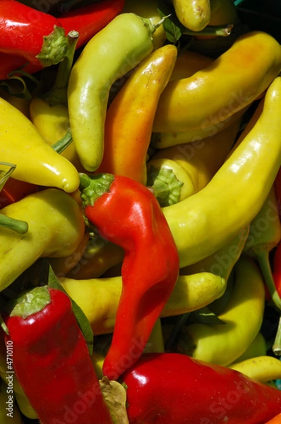 Obraz Hot Peppers