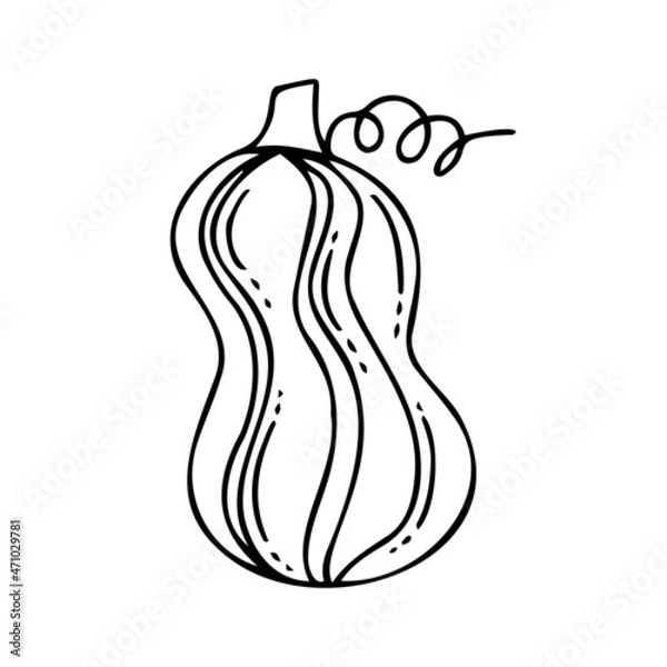Obraz Isolated vector black and white illustration of decorative lined silhouette of pumpkin