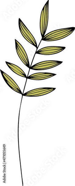 Obraz Green leaves vector illustration isolated on white background 