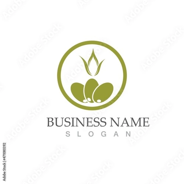 Obraz olive icon vector illustration