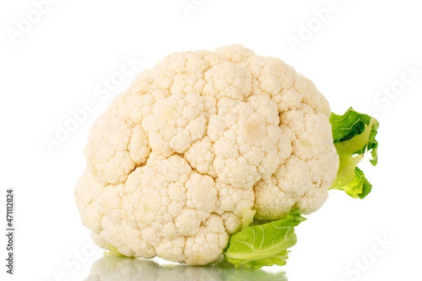 Fototapeta One ripe cauliflower, close-up, isolated on white.