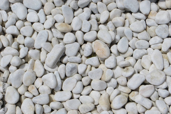 Obraz White oval pebbles background. Copyspace.