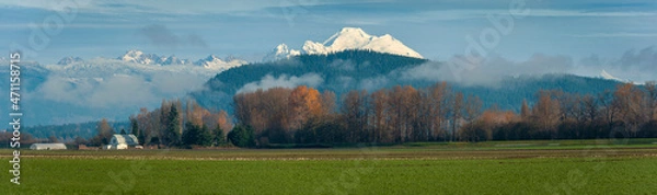 Fototapeta Mt. Baker As Seen From the Skagit Valley, Washington. Farmland and fall colors on the deciduous trees make this view a seasonal delight of the great mountain in the Pacific Northwest.