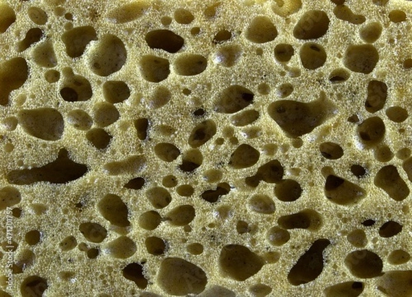 Fototapeta Texture and background. Yellow large sponge