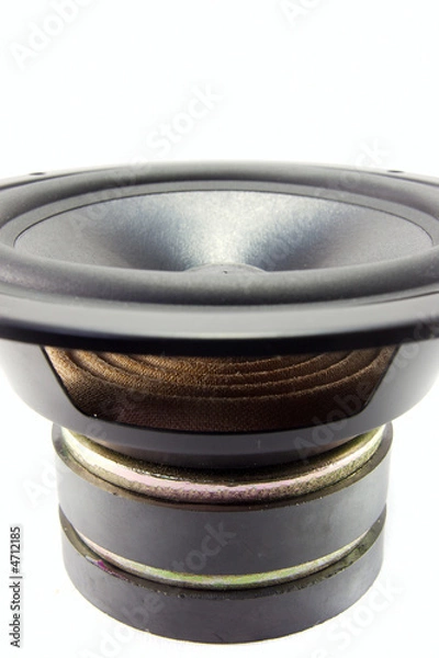 Obraz Speaker detail