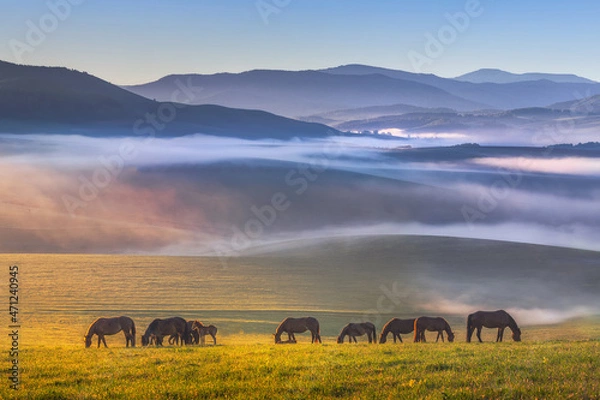 Obraz Colorful view of a herd of horses peacefully grazing. Folded hills in a blue haze. Radiant landscape.Absolutely perfect picture. Sunny meadow covered with blue-pink fog.Altai Republic.Siberia. Russia.