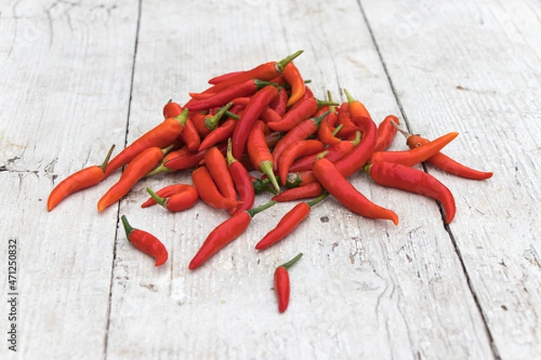 Obraz scharfe rote Peperoni