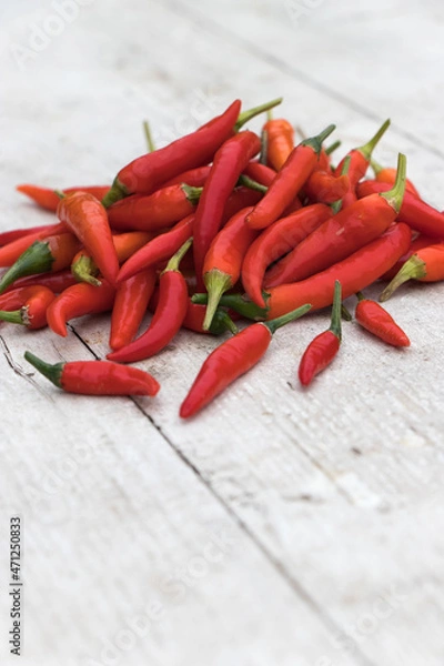 Obraz scharfe rote Peperoni