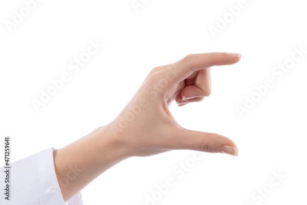 Fototapeta Woman hand handle card of posture, isolated on white background