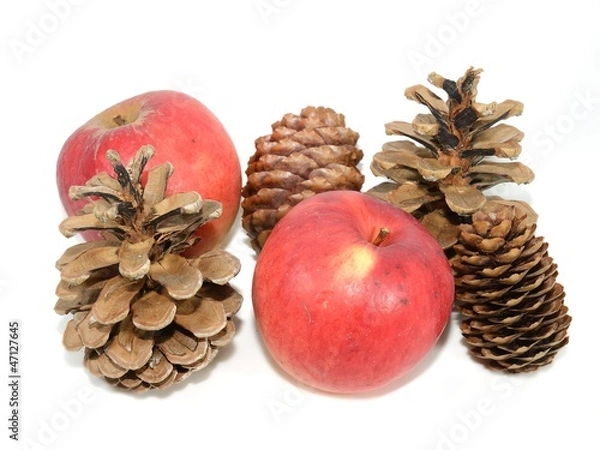 Obraz Nikolaus Zugaben