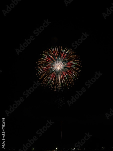 Obraz シンプルな花火