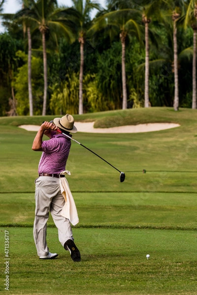 Obraz Golfista jugando