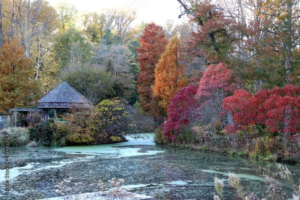 Obraz Colorful Trees of Autumn and Gazebo