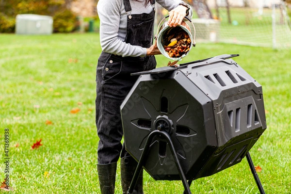 Fototapeta A woman is dumping a small bin of kitchen scraps into an outdoor tumbling composter in backyard garden. These plastic units with metal legs can turn around for better aeration and quick composting.