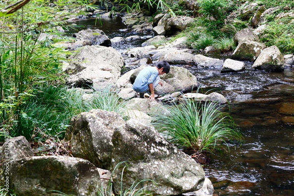 Fototapeta 川遊び