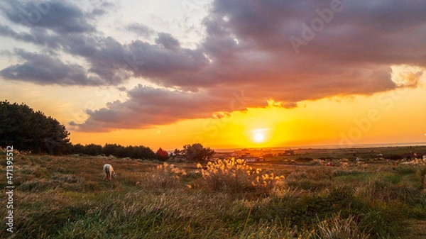 Obraz 송악산 해질녘