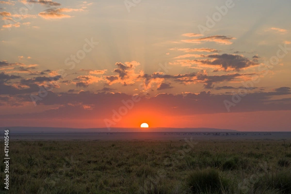 Fototapeta Red sun at sunrise over the open grass plains, Masai Mara, Kenya