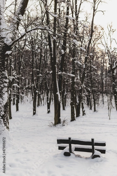 Fototapeta Winter bench