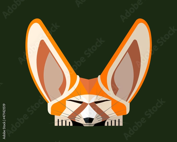 Obraz Fennec fox