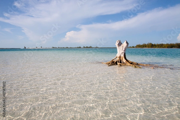 Obraz Tropical beach with white sand
