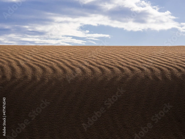 Obraz 鳥取砂丘　風紋