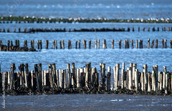 Obraz Pfahlreihen in der Nordsee