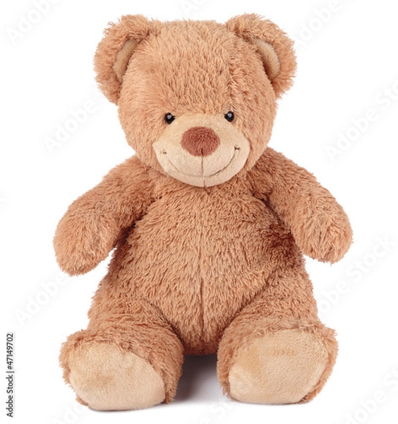 Obraz медведь