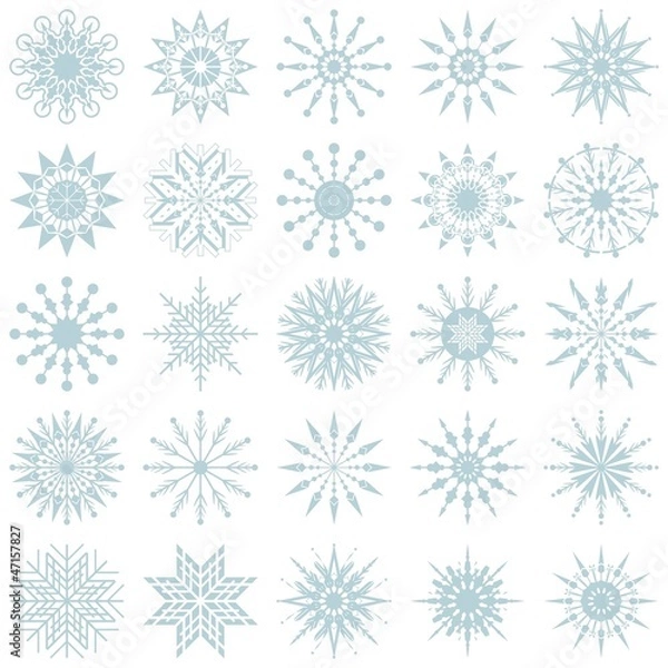 Fototapeta Snowflakes Set