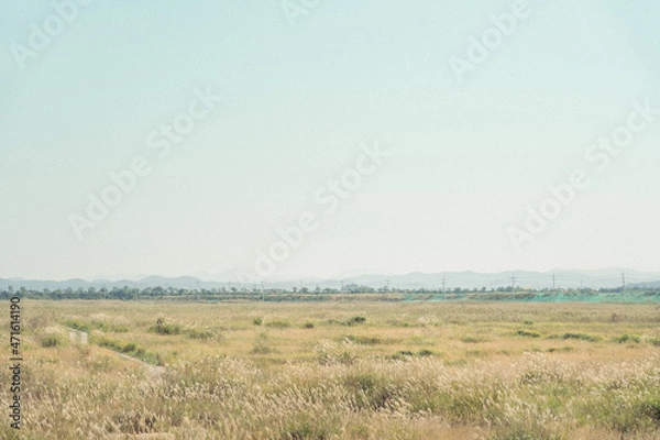 Fototapeta 햇살 좋은 드넓은 들판