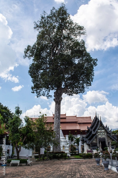 Obraz Within Wat Chedi Luang is temple of the big stupa or temple of the royal stupa that is a Buddhist temple in the historic center in Chiang Mai province of Thailand.