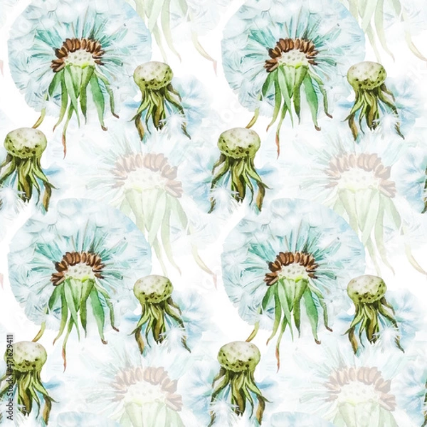 Fototapeta A pattern of watercolor dandelion flowers on a white background
