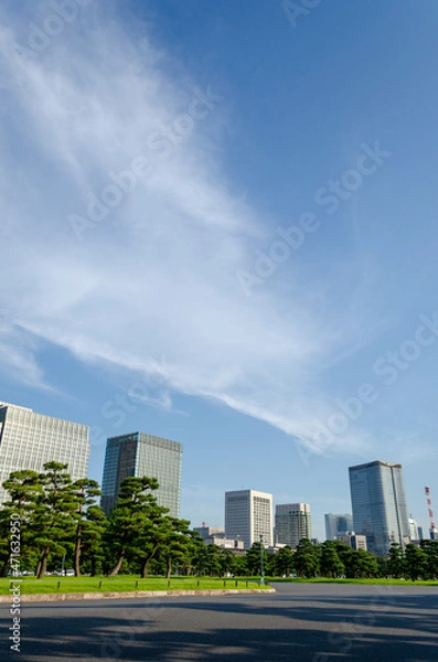 Fototapeta 青空のしたの皇居