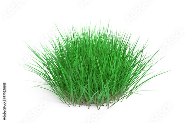 Obraz Round Patch of Fresh Green Grass. 3d Rendering