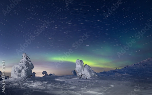 Fototapeta landscape with northern lights and snow-covered tree. 