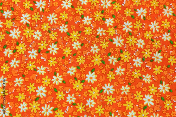 Obraz Background fabric floral