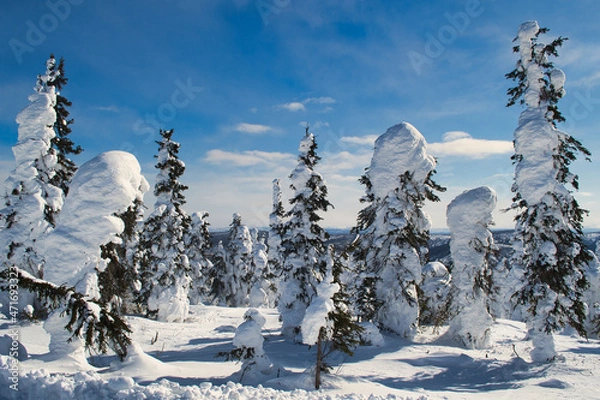 Fototapeta Dalton Highway is a 414-mile road in Alaska beginning north of Fairbanks and ends at Deadhorse near Arctic Ocean. Subject of the first episode of the BBC's  World's Most Dangerous roads.