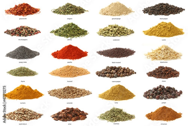 Obraz do kuchni Różne przyprawy na białym tle. Duży obraz