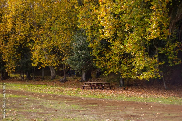 Obraz Parque Ossorio