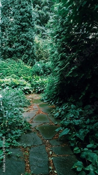 Obraz garden