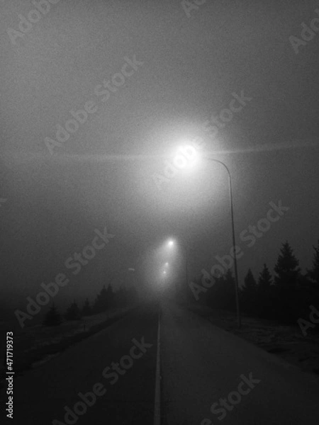 Obraz road in the mist