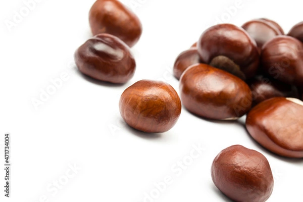 Obraz chesnut and isolated white background
