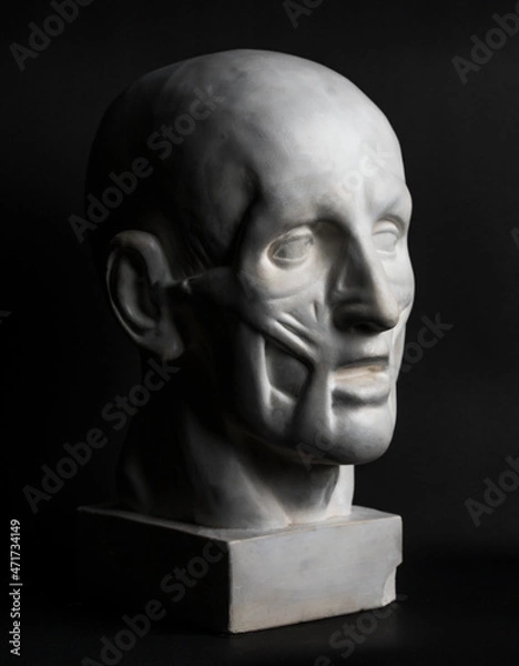 Fototapeta Голова