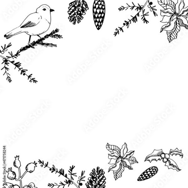 Fototapeta Christmas card hand-drawn vector cone branches Christmas tree bird sharp leaf